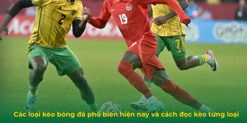 Các loại kèo bóng đá phổ biến hiện nay và cách đọc kèo từng loại