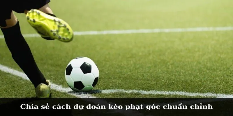 Chia sẻ cách dự đoán kèo phạt góc chuẩn chỉnh