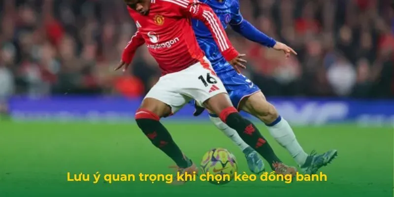 Lưu ý quan trọng khi chọn kèo đồng banh