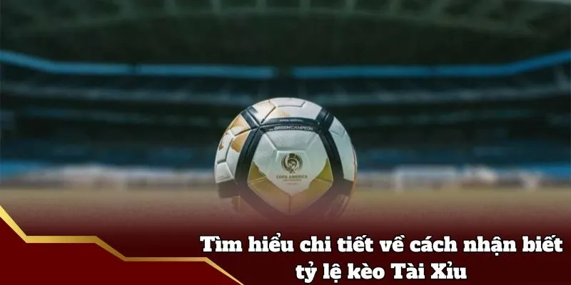 Tìm hiểu chi tiết về cách nhận biết tỷ lệ kèo Tài Xỉu